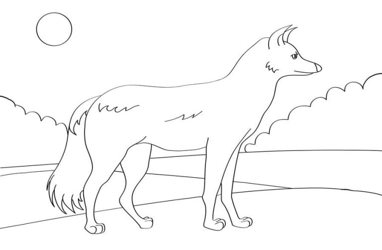 Coloring pages: Jackal, printable for kids &amp; adults, free