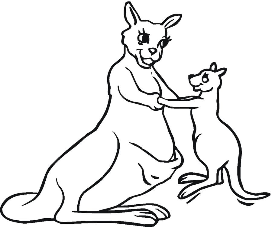 Coloring pages: Kangaroos 7