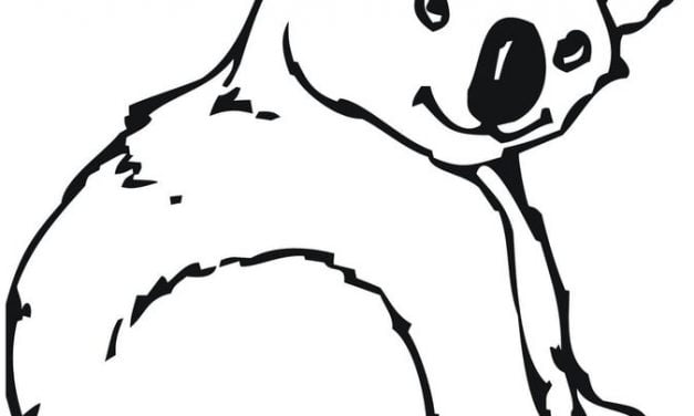 Coloring pages: Koala