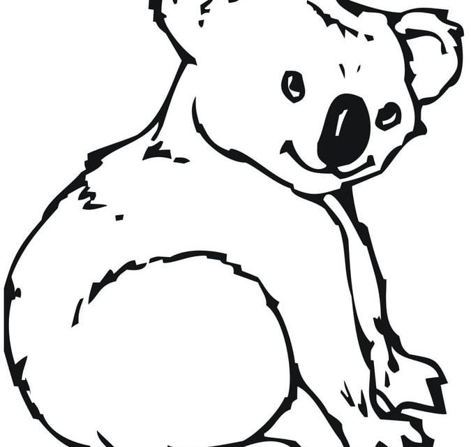 Dibujos para colorear: Koala