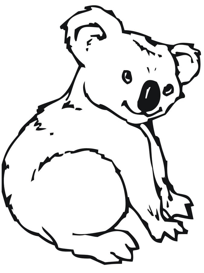 Coloring pages: Koala