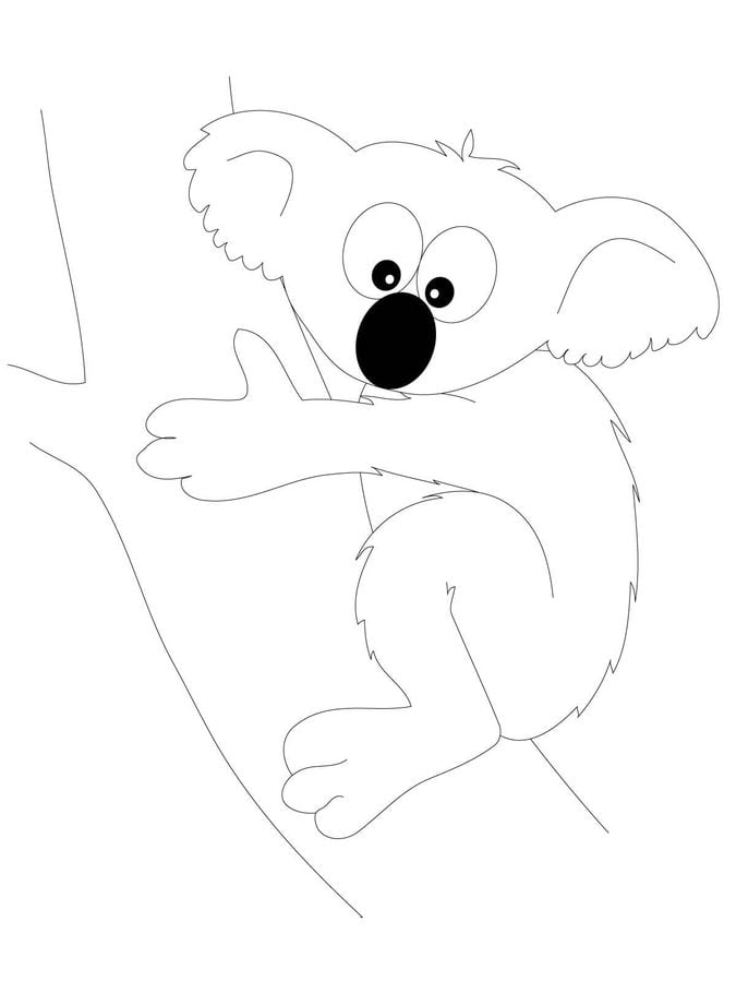 Dibujos para colorear: Koala 5