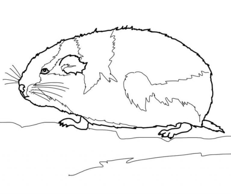 Coloring pages: Lemming, printable for kids & adults, free