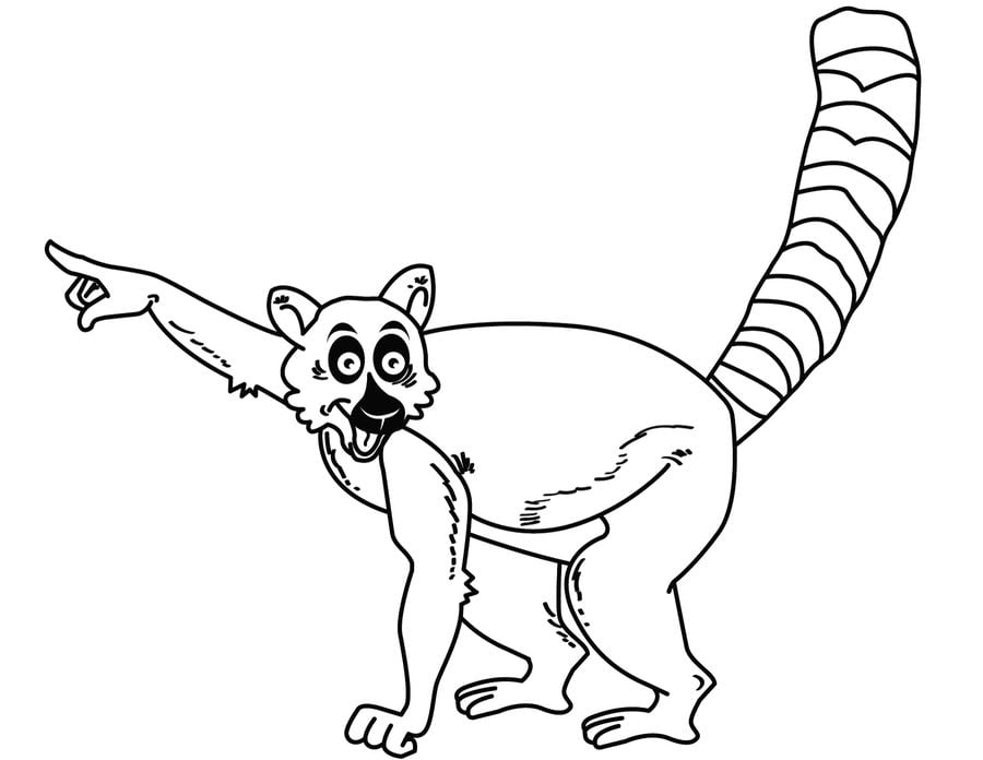 Ausmalbilder: Lemur