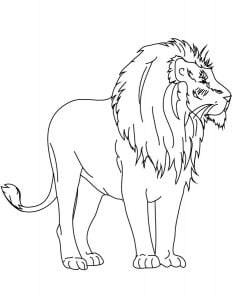 Coloring pages: Coloring pages: Lions, printable for kids & adults, free