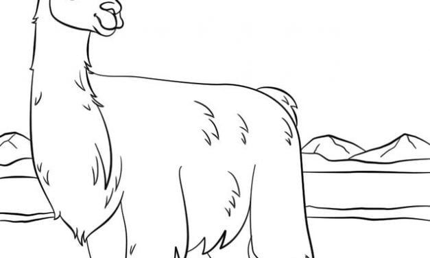 Coloring pages: Llama