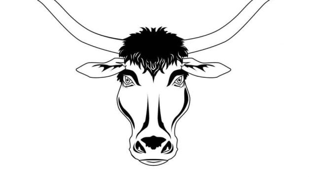 Coloring pages: Longhorn