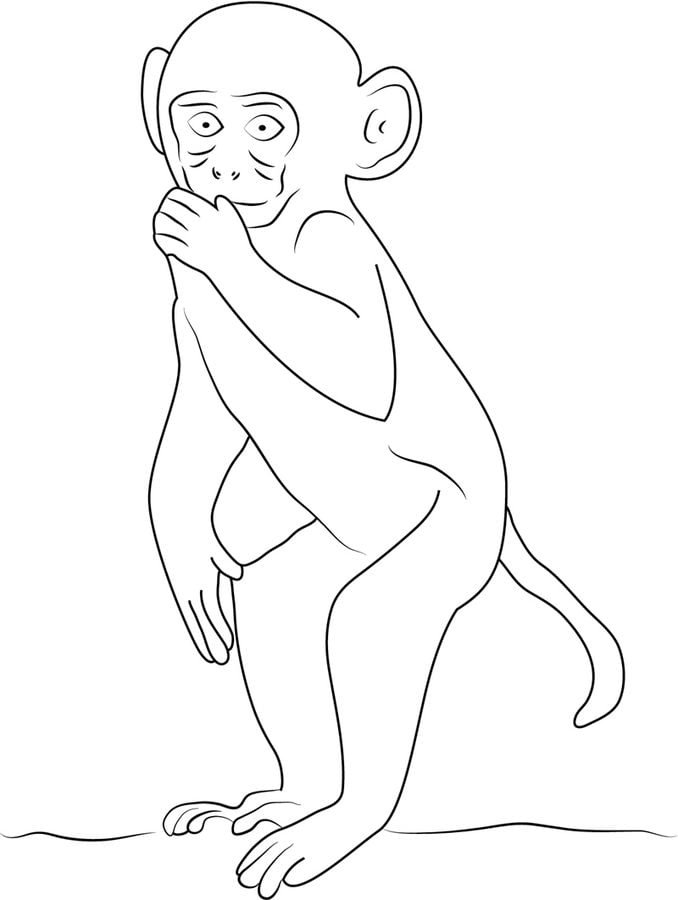 Coloring pages: Macaque 8