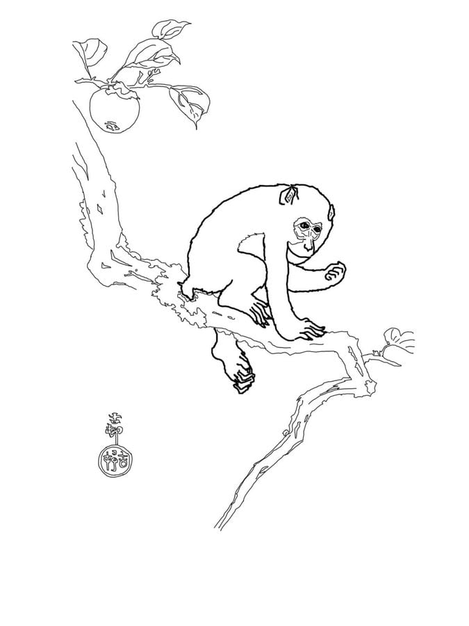 Coloring pages: Macaque 9