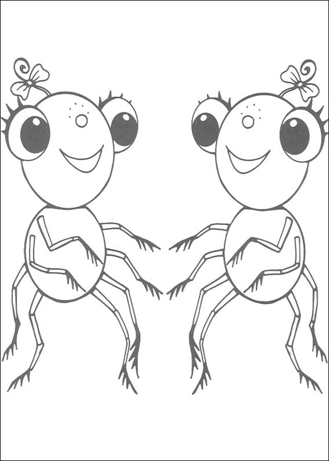 Coloriages: Miss Spider
