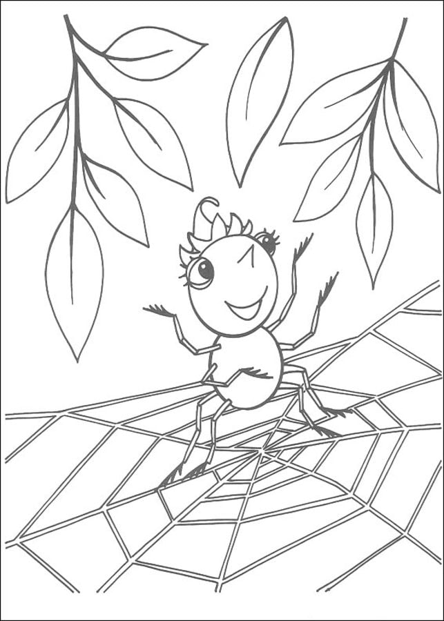 Coloriages: Miss Spider 6
