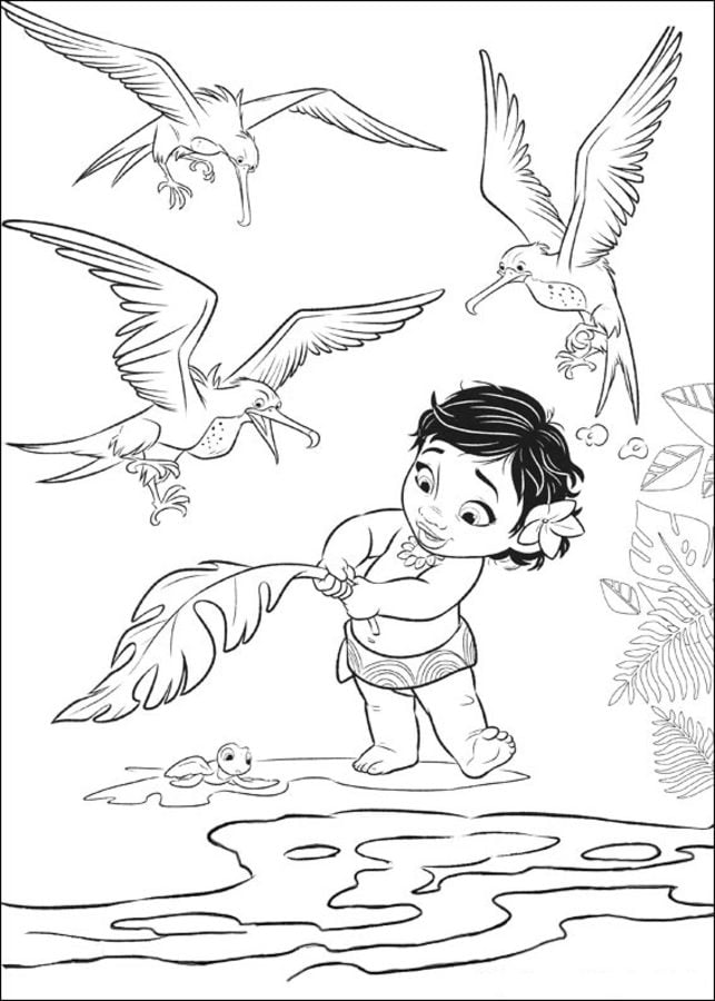 Coloring pages: Moana
