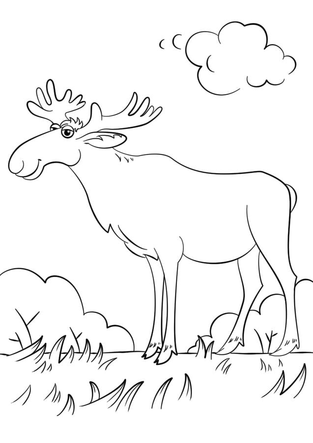 Coloring pages: Moose 2