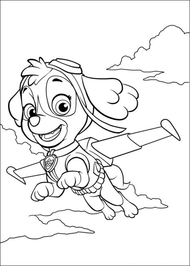 Coloring pages: PAW Patrol 5