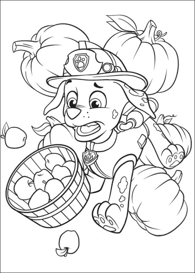 Coloring pages: PAW Patrol 8