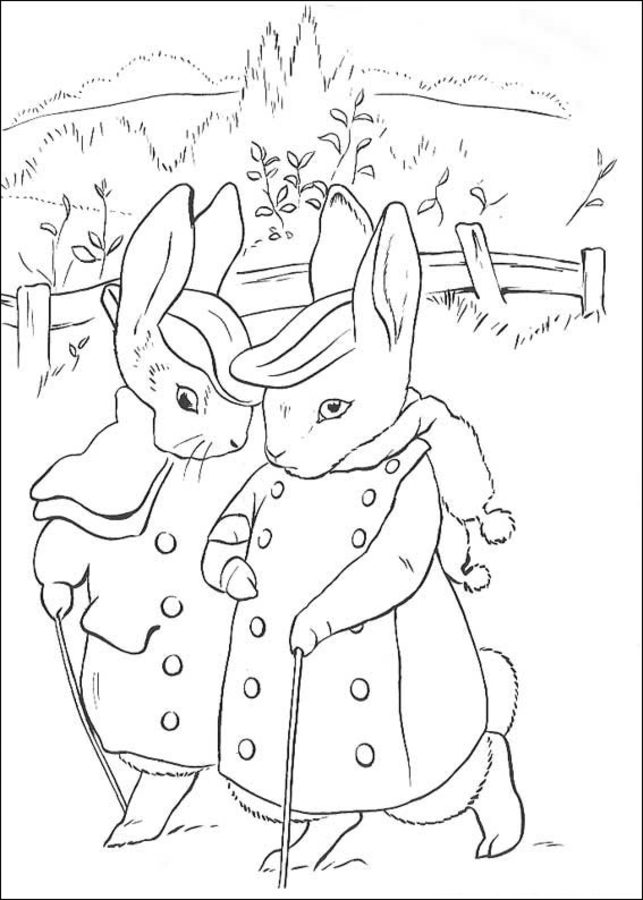Dibujos para colorear: Peter Rabbit