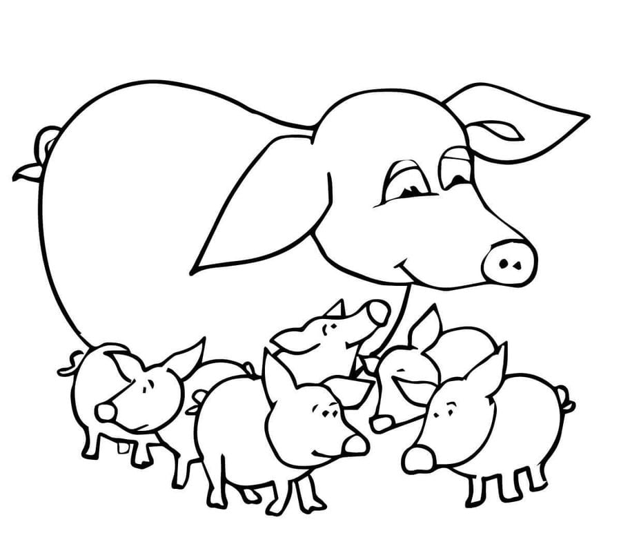 Coloring pages: Pig