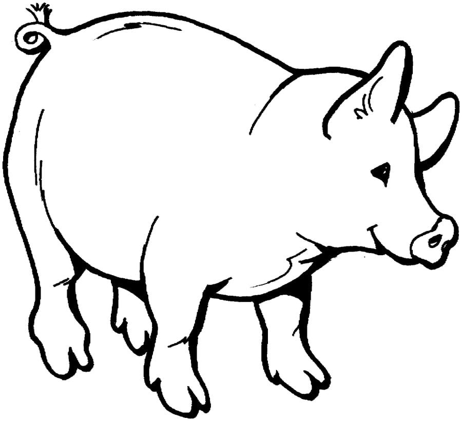 Dibujos para colorear: Cerdo