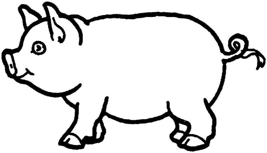 Coloring pages: Pig