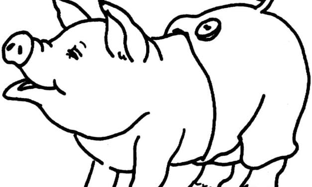 Coloring pages: Pig