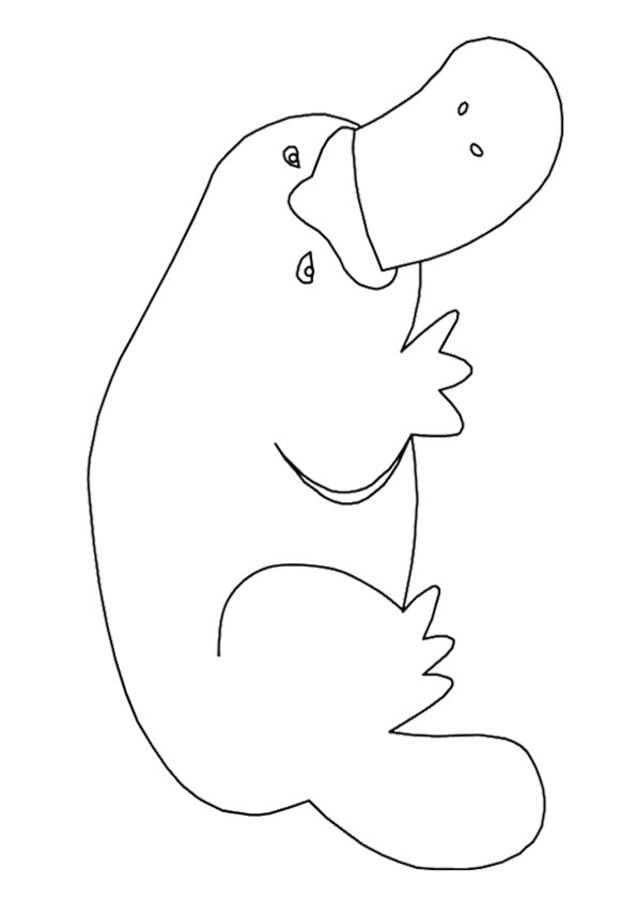 Coloring pages: Platypus 1