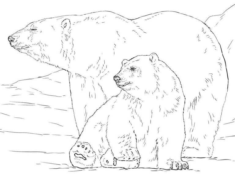 Ausmalbilder: Eisbär zum ausdrucken, kostenlos, für Kinder und Erwachsene