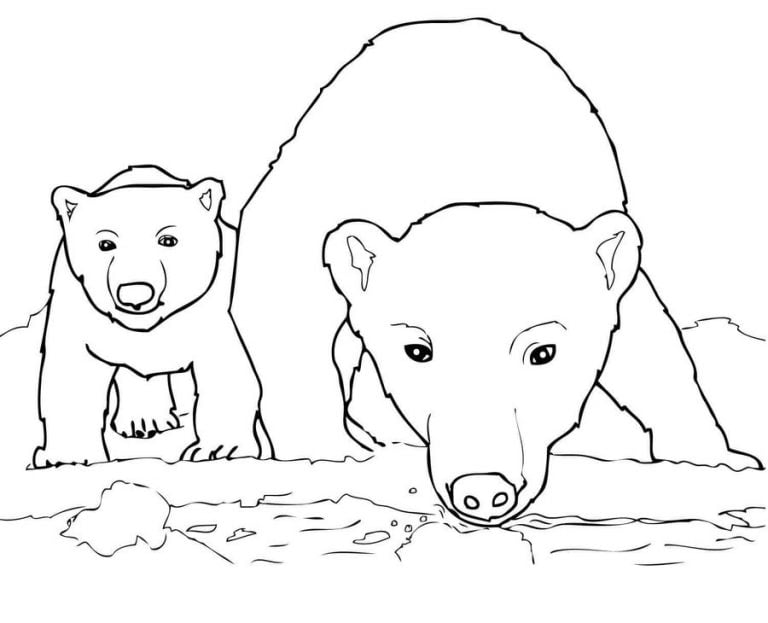 Ausmalbilder: Eisbär zum ausdrucken, kostenlos, für Kinder und Erwachsene