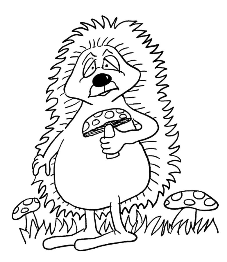 Coloring pages: Porcupines
