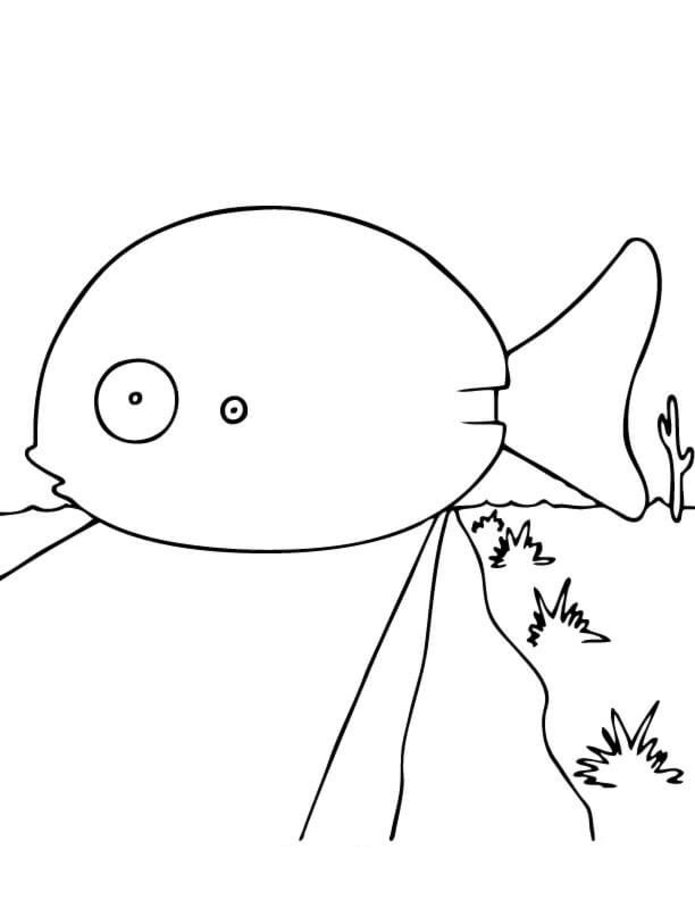 Coloring pages: Rango