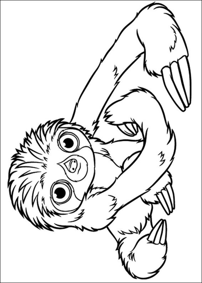 Download Coloring pages: Coloring pages: The Croods, printable for kids & adults, free