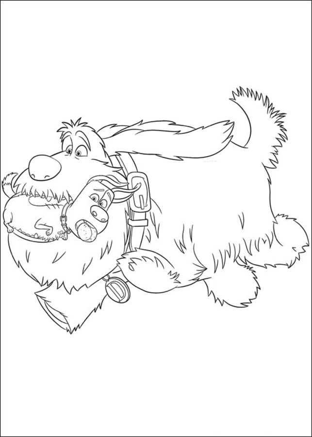 Coloring pages: The Secret Life of Pets