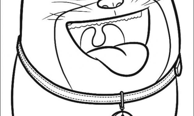 Coloring pages: The Secret Life of Pets