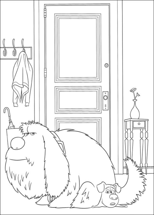 Coloring pages: The Secret Life of Pets