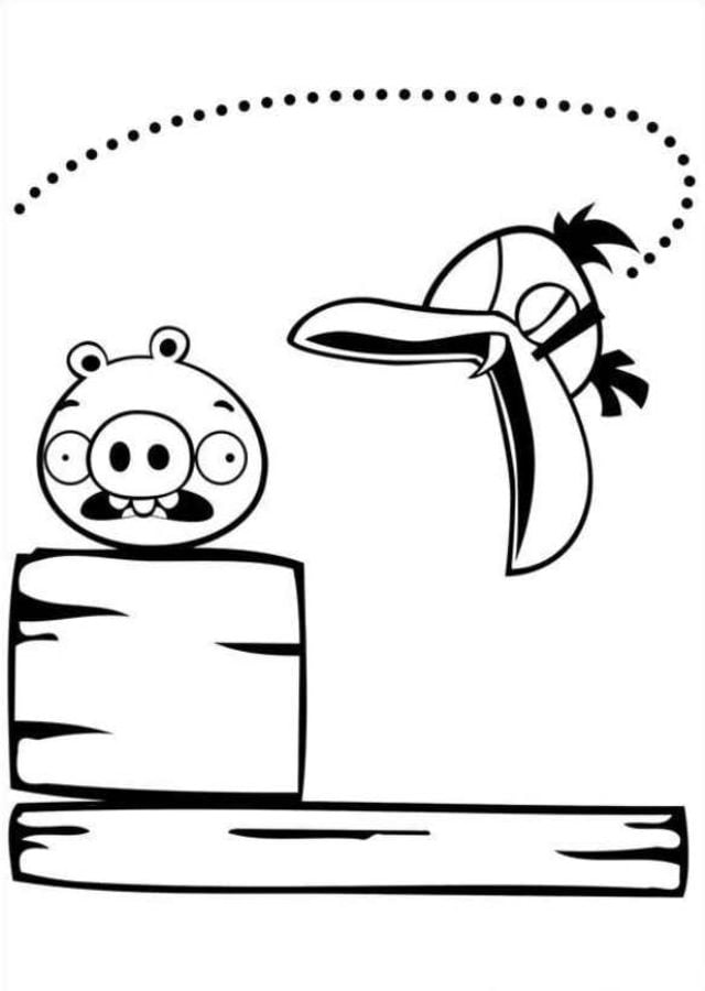 Coloring pages: Angry Birds