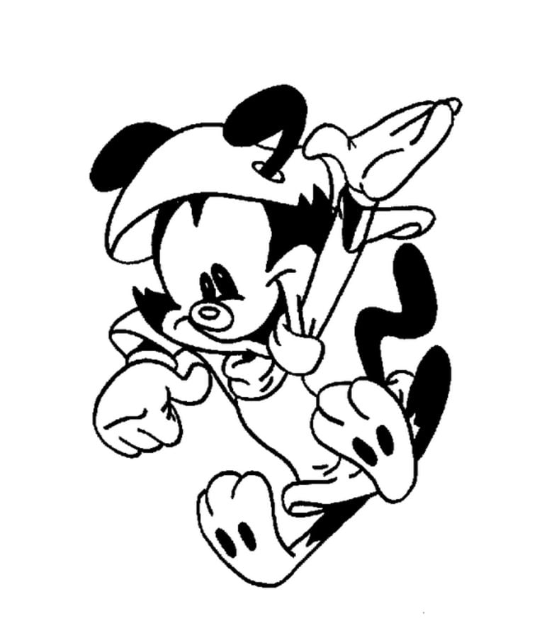 Coloring pages: Animaniacs