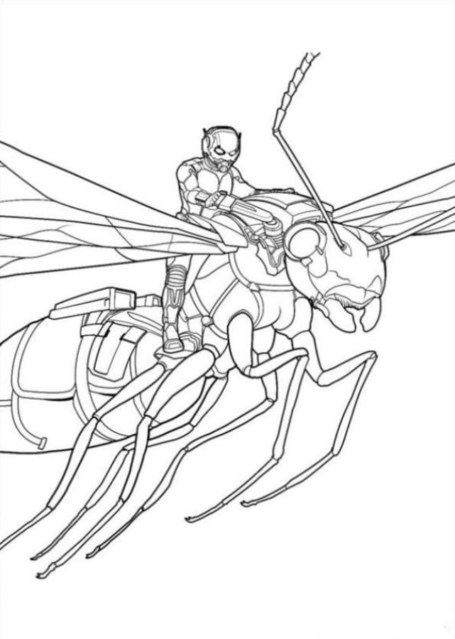 Coloring pages: Ant-Man 4