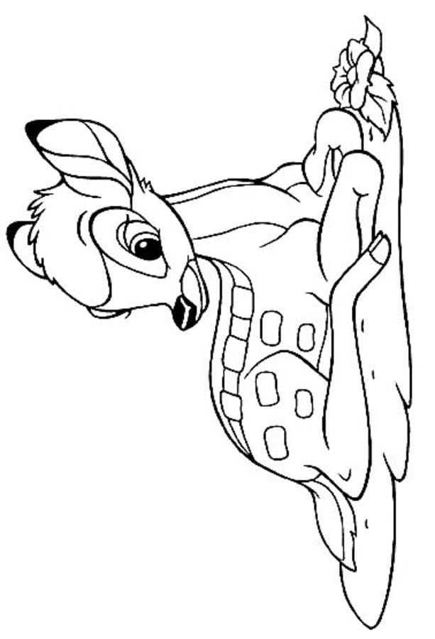 Coloring pages: Bambi