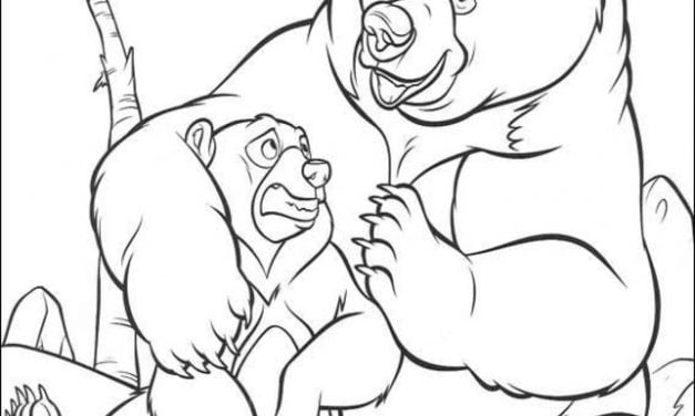 Dibujos para colorear: Hermano oso