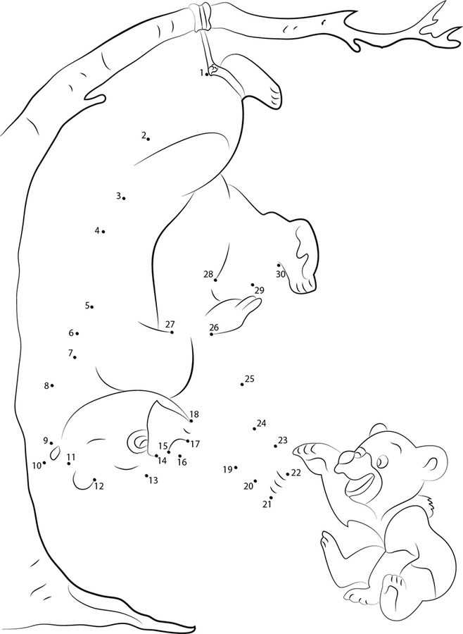 Unisci i puntini: Koda, fratello orso