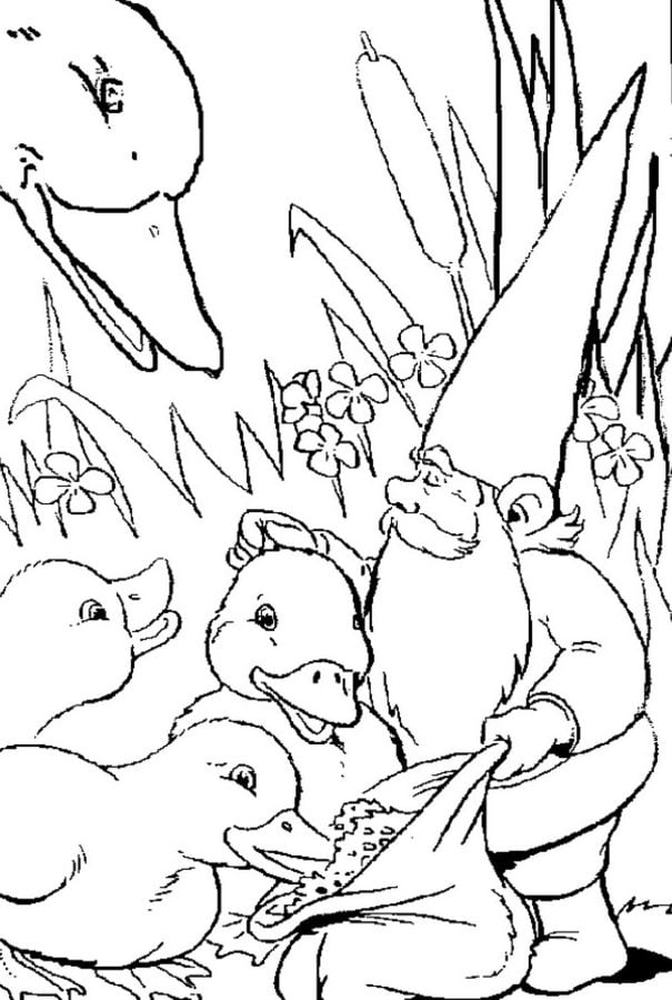Coloring pages: David the Gnome