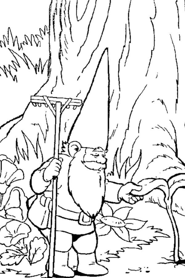 Coloring pages: David the Gnome