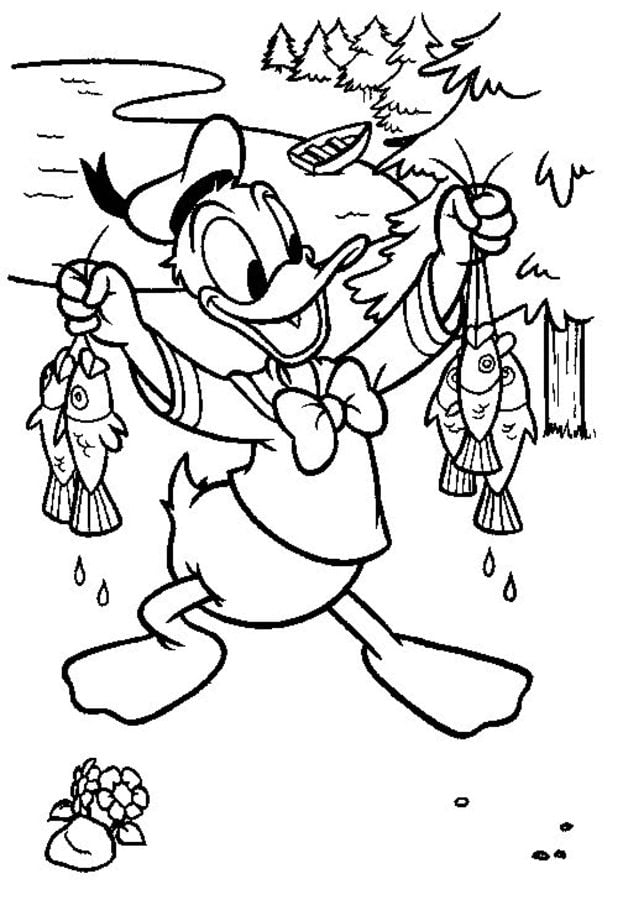 Coloring pages: Donald Duck