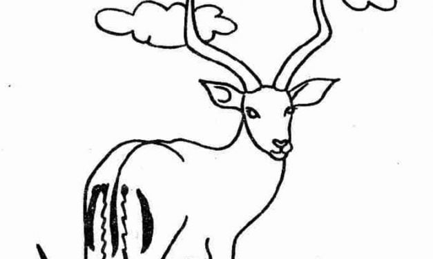 Coloring pages: Gazelle