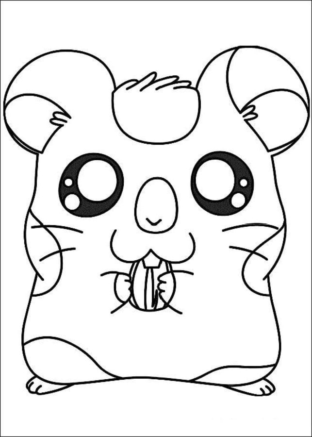 Coloring pages: Hamtaro