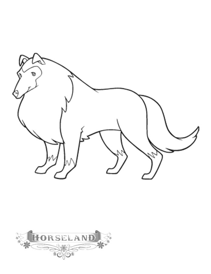 Coloriages: Horseland