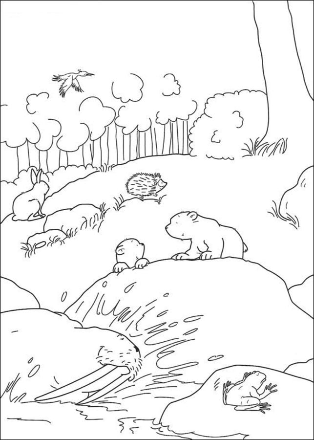 Disegni da colorare: Piuma, il piccolo orsetto polare