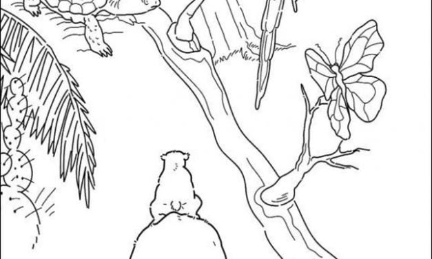 Coloring pages: Little Polar Bear