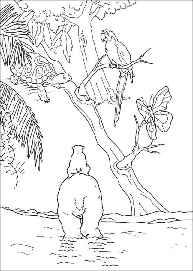 Coloring pages: Little Polar Bear