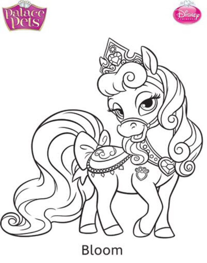 Coloring pages: Palace Pets 5