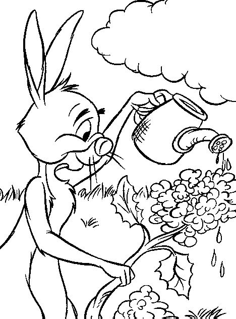 Coloring pages: Rabbit